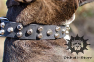 Leather Dog Collar with Pyramides | Customized Dog Collar Leather Dog Collar with Pyramides | Customized Dog Collar